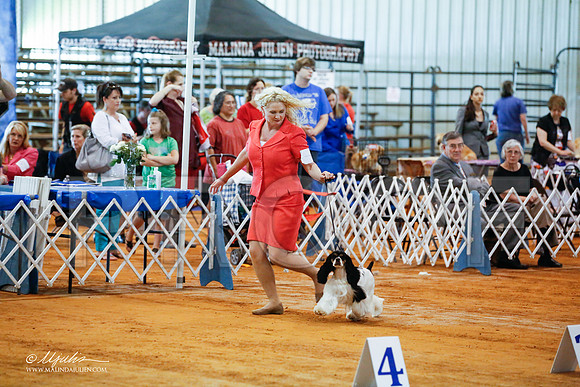 _JJ_2110-MarshMay2015-HR3