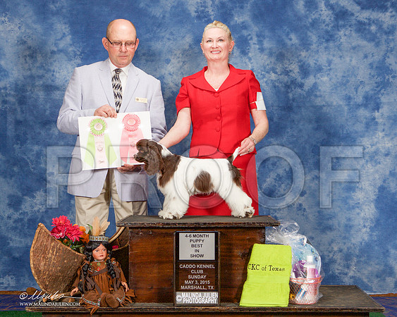 _ST_0766-MarshMay2015-HR3