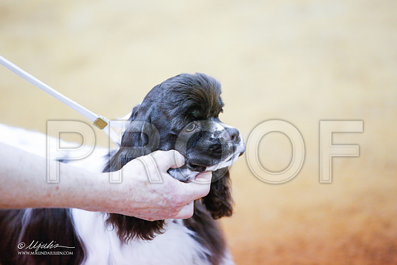 _JJ_3182-MarshMay2015-HR3