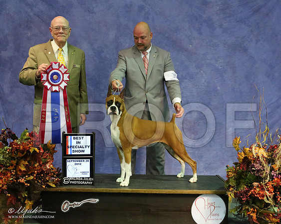 Boxer-8969 HR