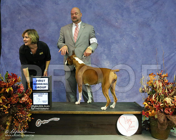 Boxer-8405 HR