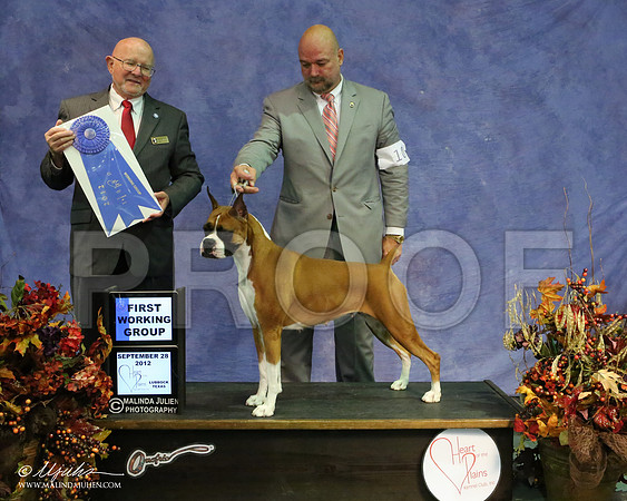Boxer-8414 HR