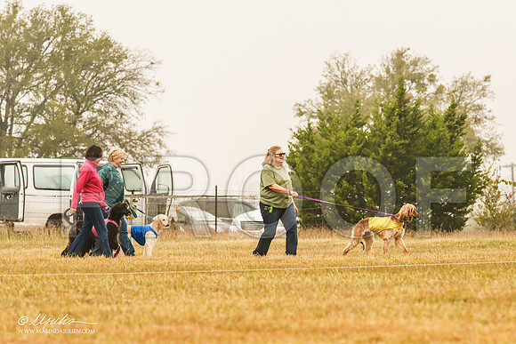 _MJ_3362-AfgBeltonOct2014-HR3