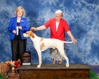 Pointer #7 Sun NC Parr Nancy Judge Vicki Abbott