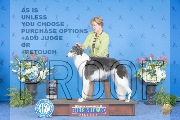 Borzoi #30 THUR WB BOW NC M Judge Dabbie Freeman__JP_8137_Houston_2024_HR3