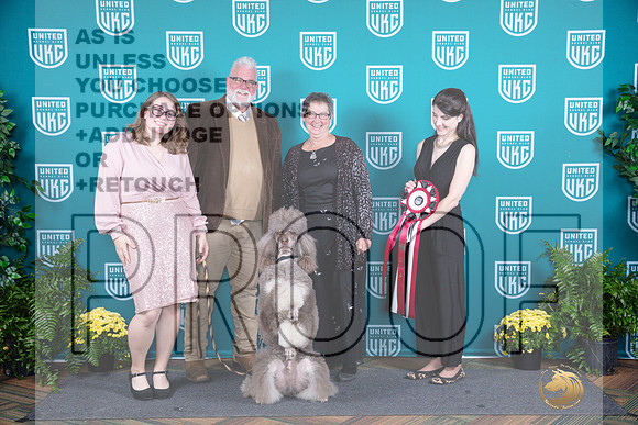 Poodle Std MC TD-2__JP_2936_UKCTDI2024_HR3