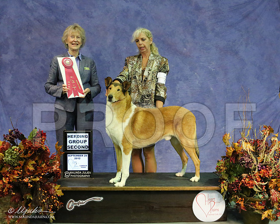 CollieS-8855 HR
