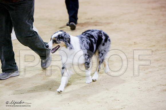 _JN_7677-ASCACollegeStationNov2014-HR3