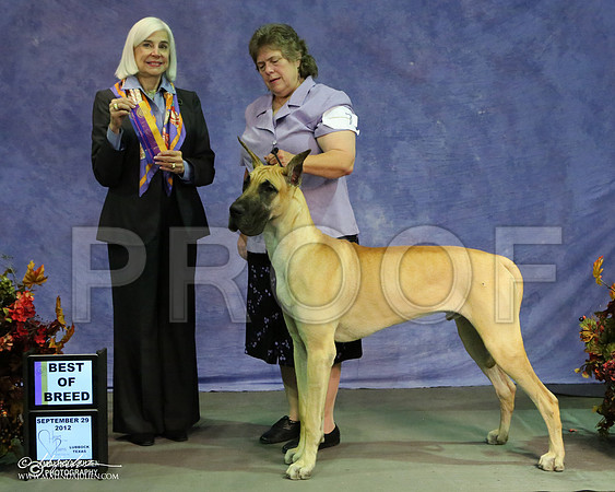 Dane-0145 HR