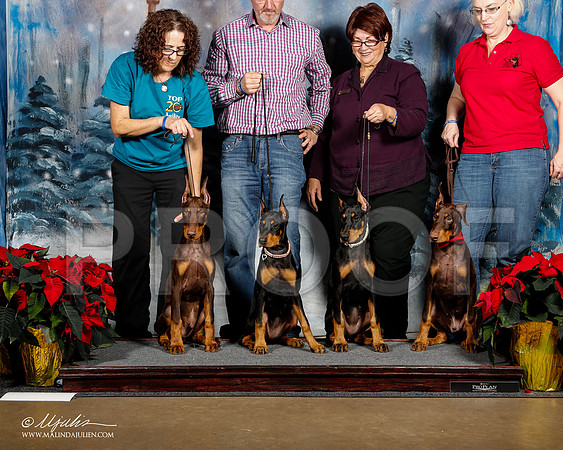 _ST_8203-2-DallasDec2014-HR3