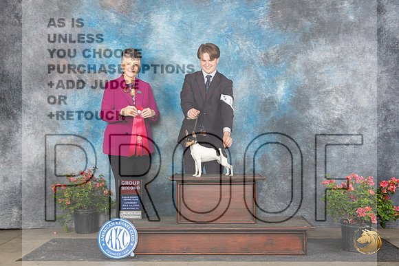 Toy Fox Terrier #12 Sat G2 Judge Christine Martinez__JP_5428_San Antonio_2024_HR3