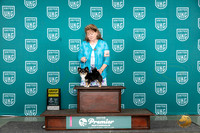 Chihuahua #882 Sun G4 Judge Deb Allen