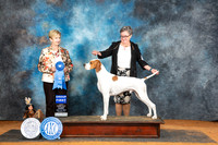 Pointer #? Sun G1 Judge Karen Hynek