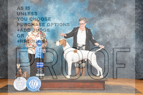 Pointer #? Sun G1 Judge Karen Hynek__JP_8851_MARSHALL_2024_HR3