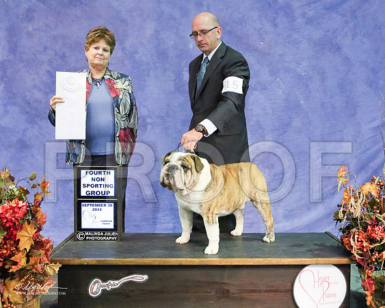 Bulldog-5273HR