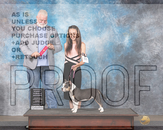 American Bully #425 Sat Novice Puppy 2nd Judge Matthew Proctor-_JP_2922e_Longview TX 2024-HR3