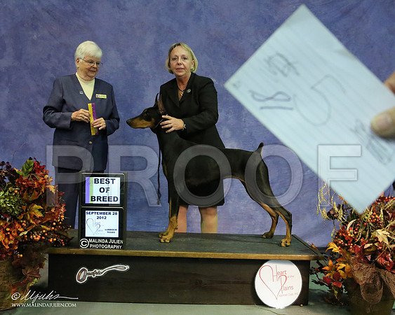 dobe-8490 HR