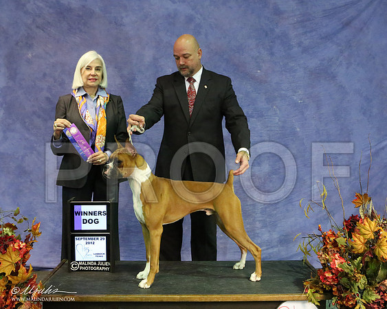 Boxer-9416 HR