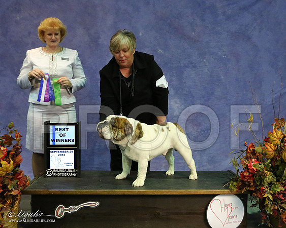 Bulldog-9522 HR
