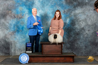 Pekingese #8 Sun G1 Judge Dr Steve Keating