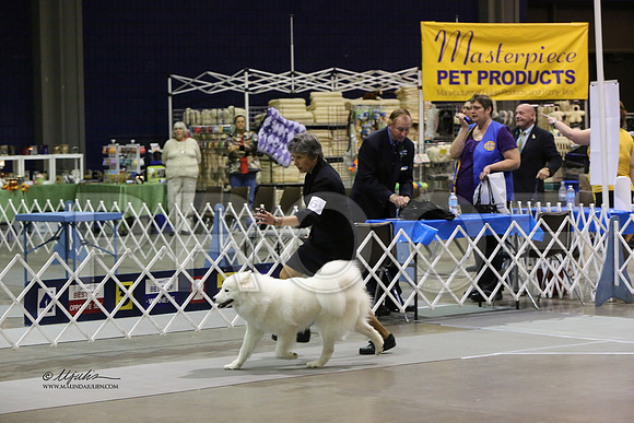 WorkingGrp-8597 HR