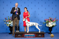 Claire Daugherty Houston 2024