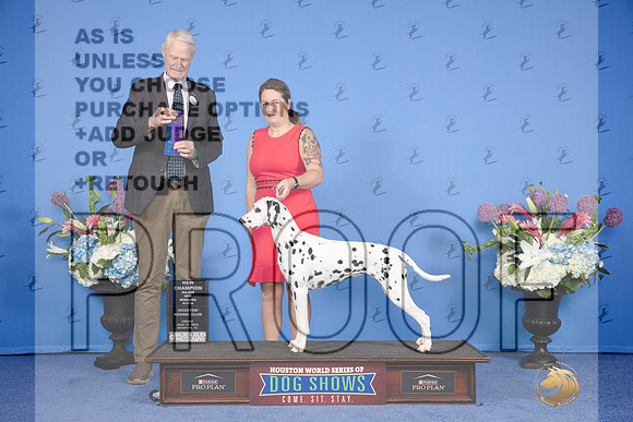 Dalmatian #8 FRI WB NC M Judge Jon Cole_JP_8916e_Houston_2024-HR3