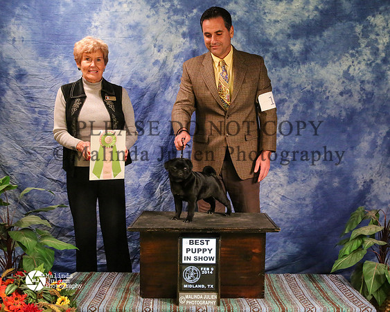 PUG-8759-MidFeb14-HR