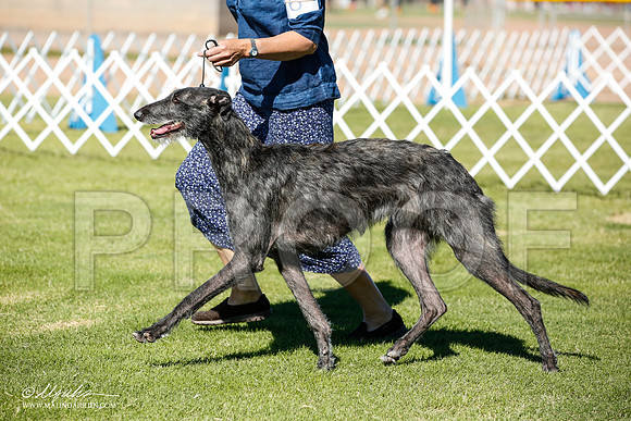 _JN_5910-AlamogordoOct2014-HR3