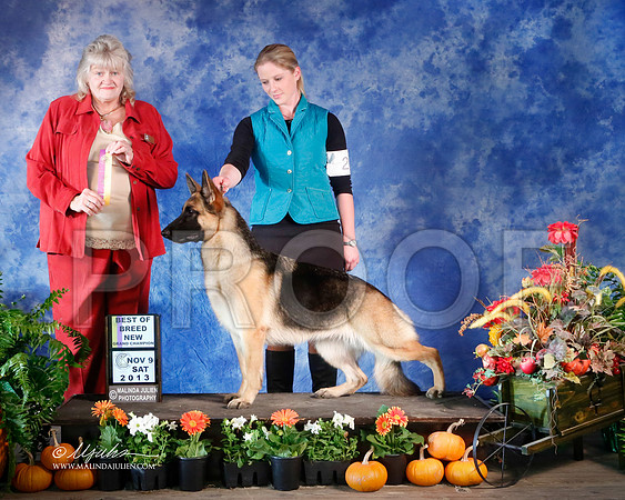 GSD-4359-HstnNov13-HR