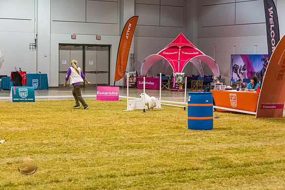 Agility 132 2JJL_0653_Shreveport_2022_HR3
