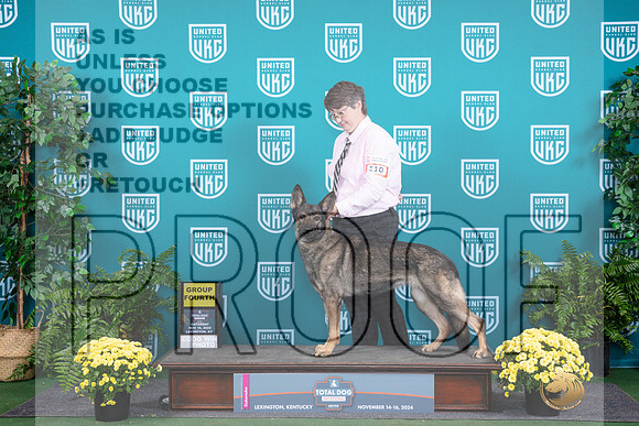 German Shepherd Dog #110 Sat G4__JP_2833_UKCTDI2024_HR3