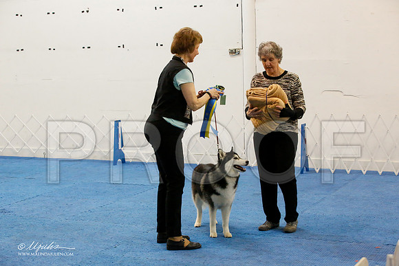 _M3_8063-AddisonHuskyMar2015-HR3