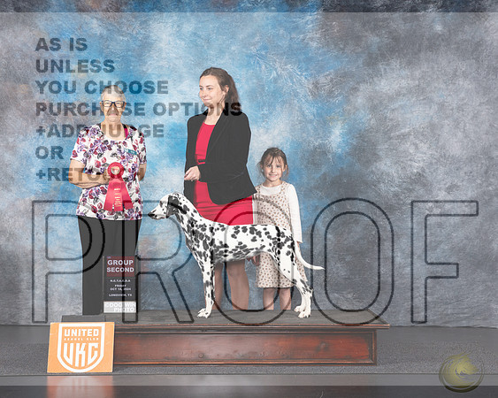 Dalmatian #140 Fri G2 Judge Lila FastDalmatian #140 Fri G2 Judge Lila Fast_JP_1066e-UKCLNGVIEW OCT 2024-HR3