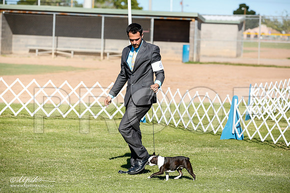 _JN_8442-AlamogordoOct2014-HR3