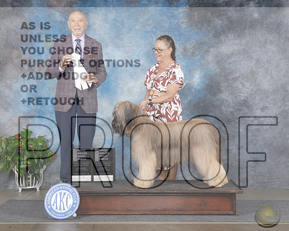 Briard #6 Sat OHG4 Judge Gary SparscherBriard #6 Sat OHG4 Judge Gary Sparscher_WP_1181e-San Antonio 2025-HR3