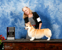 Corgi Welsh Pembroke #12 Fri RWB Cavuoti Michiel Mary Ann Parker Judge Dr Dale Simmons