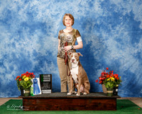 American Staffordshire Terrier #56