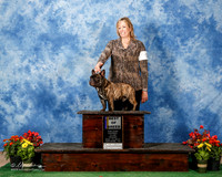 French Bulldog #5 Fri BOB Jacky Mills Agent Paige McCarver Judge Sharon Krogh