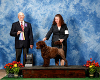 Portuguese Water Dog #6 Fri BOB White J Bailey S Kang K Marangon Agent Sharon Kang Judge Robert Shreve