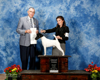 Smooth Fox Terrier #5 Fri G3 Looney Hanna Judge David Krough