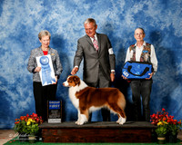 Australian Shepherd #20 Fri G1 Leon Goetz Judge Linda More