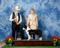 Border Collie #6 Fri New GrCh Miller Gerald Barbara Miller Judge Dr Dale Simmons