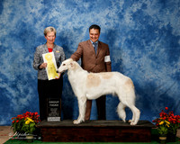 Borzoi #8 Fri G3 Rita Rice Agent Brooke Young Judge Linda More