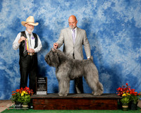 Bouvier des Flandres #9 Fri BOB Kimbrough Karen Duke Judge Dr Dale Simmons