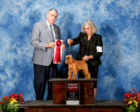Brussels Griffon #5 Fri G2 Massad Sharon Valerie Humbird Judge David Krogh
