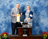 Chihuahua Smooth Coat #5 Fri G3 Linda Hughes Agent Brooke Young Judge David Krogh