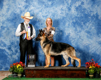 German Shepherd Dog #7 Fri BOB Lana Atkinson Judge Dr Dale Simmons