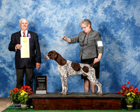 German Shorthaired Pointer #7 Fri G3 Swensson Carlene M R Lara DVM Judge Robert Shreve