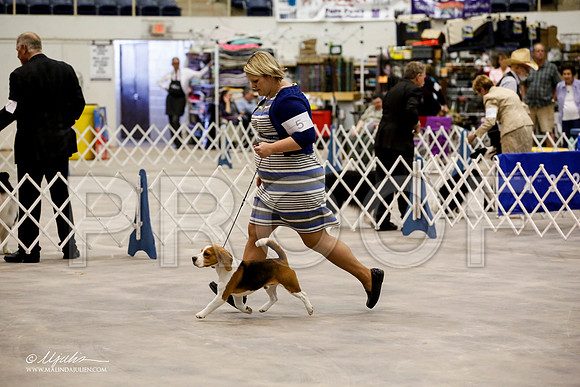 _JJ_4484-ABMay2015-HR3
